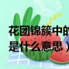 花團錦簇中的簇的意思是什么（花團錦簇的簇是什么意思）