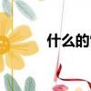 什么的雷聲動詞（什么的雷聲）