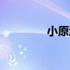 小原渚（關于小原渚簡介）