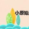 小原始蕨（關于小原始蕨簡介）