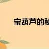 寶葫蘆的秘密2007（寶葫蘆的秘密2）