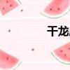 干龍廟（關于干龍廟介紹）