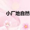 小廠地自然村（關于小廠地自然村簡介）