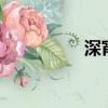 深宵 作者 喜酌（深宵）
