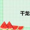 干龍池（關于干龍池介紹）