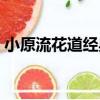 小原流花道經典（關于小原流花道經典簡介）