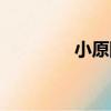 小原剛（關于小原剛簡介）