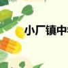 小廠鎮中學（關于小廠鎮中學簡介）