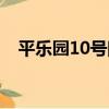 平樂園10號院（關于平樂園10號院介紹）