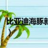 比亞迪海豚新能源汽車介紹（新能源汽車介紹）