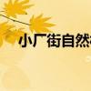 小廠街自然村（關于小廠街自然村簡介）