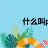 什么叫pu皮材質（什么叫pu皮）