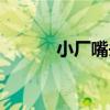 小廠嘴頭（關于小廠嘴頭簡介）