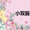 小雙唇蘭（關于小雙唇蘭簡介）