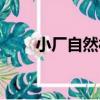 小廠自然村（關于小廠自然村簡介）