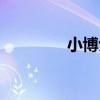 小博士（關于小博士簡介）