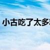 小古吃了太多糖（關于小古吃了太多糖簡介）
