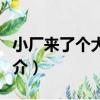 小廠來了個大學生（關于小廠來了個大學生簡介）