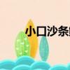 小口沙條鮫（關于小口沙條鮫簡介）