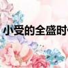 小受的全盛時代（關于小受的全盛時代簡介）