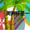 美洲杯是一年一次嗎（美洲杯幾年一次）