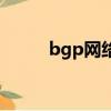 bgp網絡語什么意思（bgp網絡）
