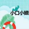 小口小鰾鮈（關于小口小鰾鮈簡介）