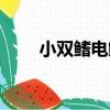 小雙鰭電鰩（關于小雙鰭電鰩簡介）