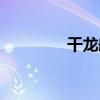干龍船（關于干龍船介紹）