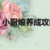 小廚娘養成攻略（關于小廚娘養成攻略簡介）