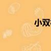 小雙村（關于小雙村簡介）