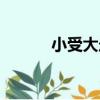 小受大走（關于小受大走簡介）
