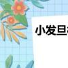 小發旦村（關于小發旦村簡介）