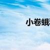 小卷蛾科（關于小卷蛾科簡介）