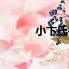 小卞氏獸（關于小卞氏獸簡介）