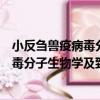 小反芻獸疫病毒分子生物學及致病機制（關于小反芻獸疫病毒分子生物學及致病機制簡介）