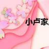 小盧家莊（關于小盧家莊簡介）