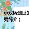 小雙橋遺址的商與夷（關于小雙橋遺址的商與夷簡介）
