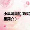 小縣城里的戊戌變法：新星（關于小縣城里的戊戌變法：新星簡介）