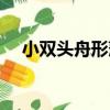 小雙頭舟形藻（關于小雙頭舟形藻簡介）