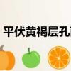 平伏黃褐層孔菌（關于平伏黃褐層孔菌介紹）