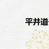 平井道子（關于平井道子介紹）