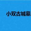 小雙古城墓地（關于小雙古城墓地簡介）
