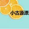 小古源漂流（關于小古源漂流簡介）