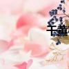 干黃花（關于干黃花介紹）
