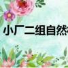 小廠二組自然村（關于小廠二組自然村簡介）