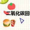 二氧化碳回收技術前景（二氧化碳回收）