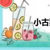 小古貓（關于小古貓簡介）
