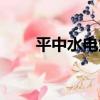 平中水電站（關于平中水電站介紹）