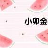 小卯金刀（關于小卯金刀簡介）